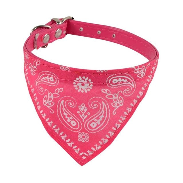 Collar + Bandana Mascotary - Para fardar de estilo