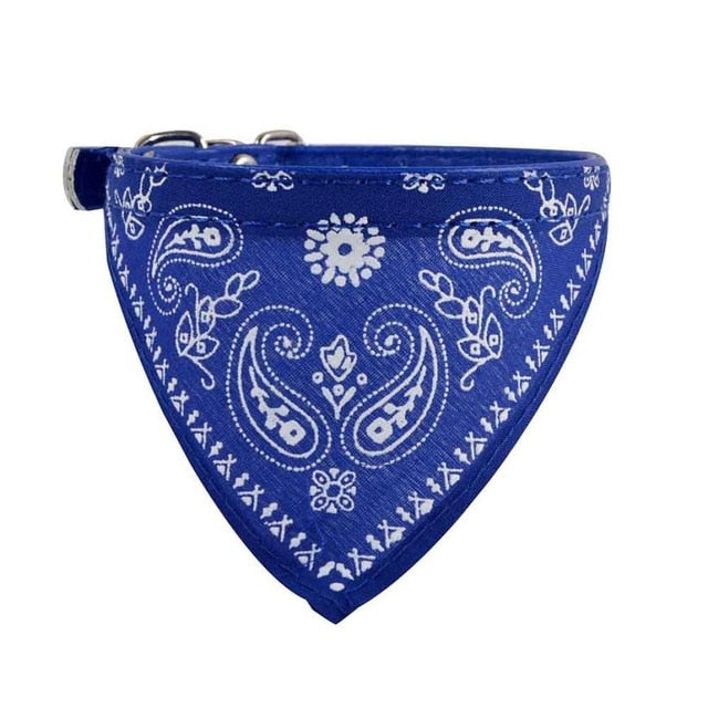 Collar + Bandana Mascotary - Para fardar de estilo