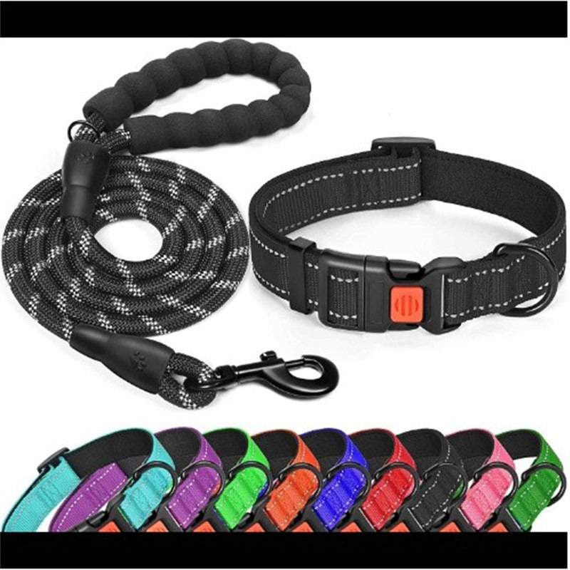 Collar y correa reflectante Mascotary - Seguridad con clase