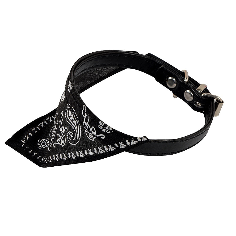 Collar + Bandana Mascotary - Para fardar de estilo
