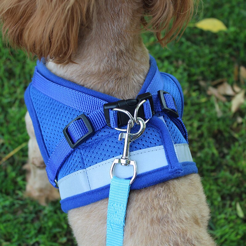 Arnés Reflectante Mascotary – Visibilidad y comodidad total