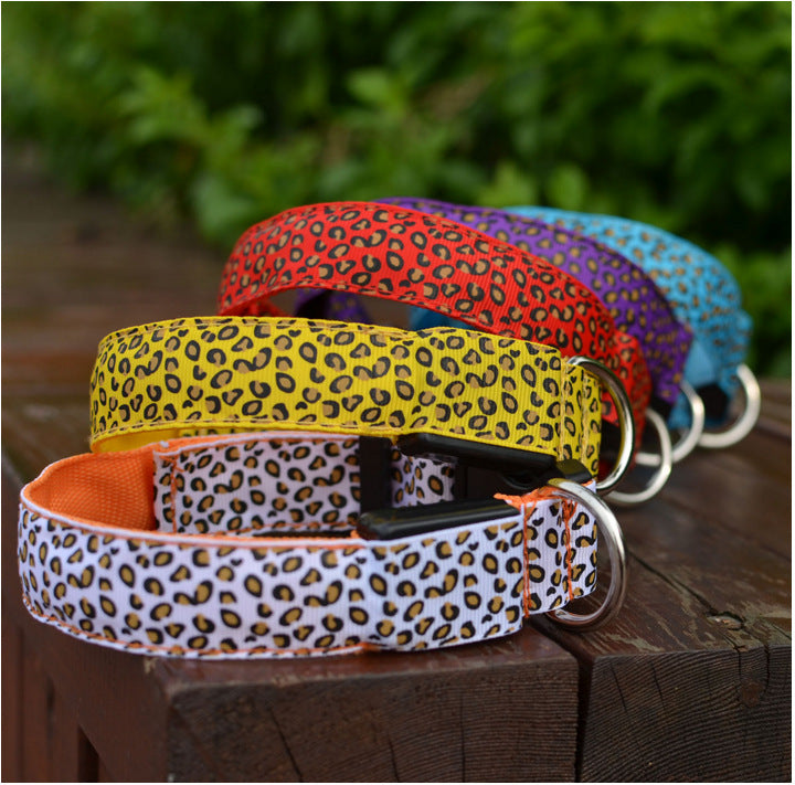 Collar LED con estampado Mascotary – Visibilidad con estilo