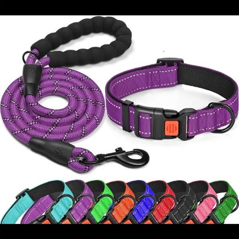 Collar y correa reflectante Mascotary - Seguridad con clase