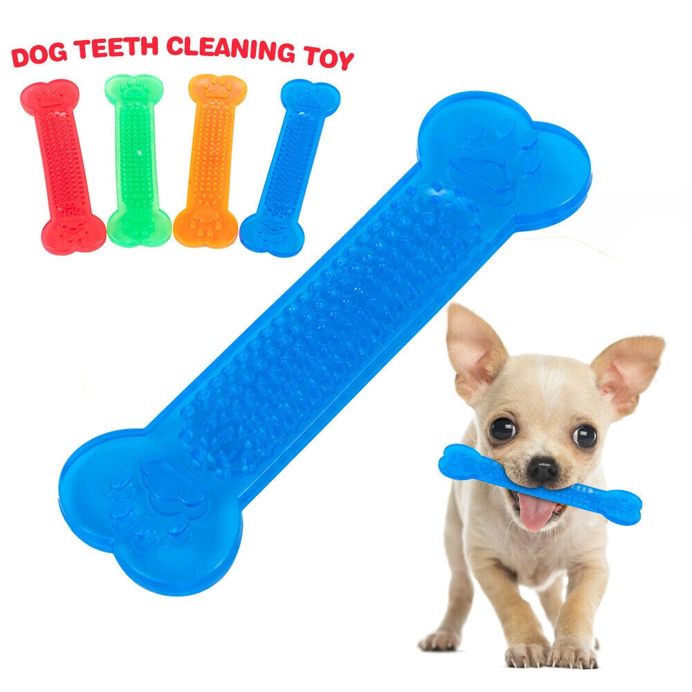 Mordedor Mascotary - Limpieza dental con diversión