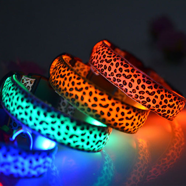 Collar LED con estampado Mascotary – Visibilidad con estilo