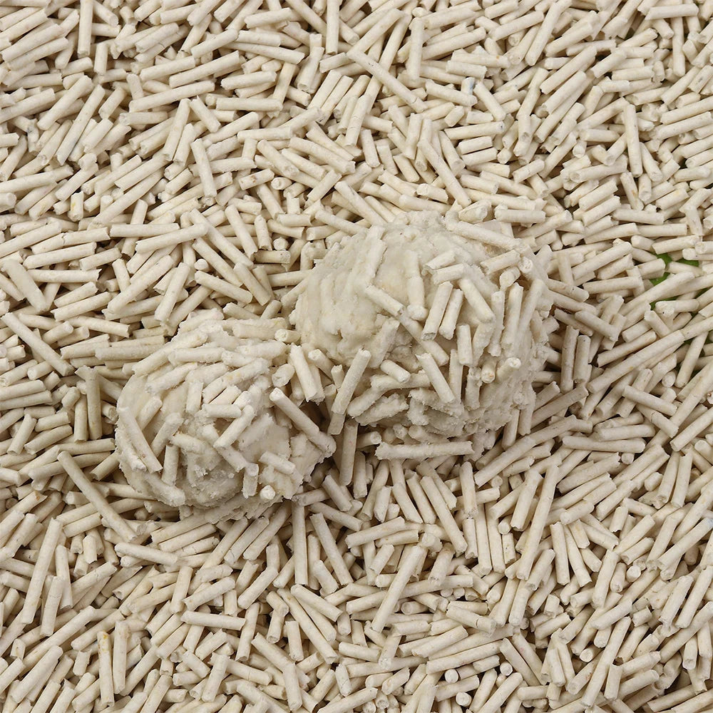 🌱 Arena de Tofu Ecológica Mascotary - Natural, sin polvo, sin olores.