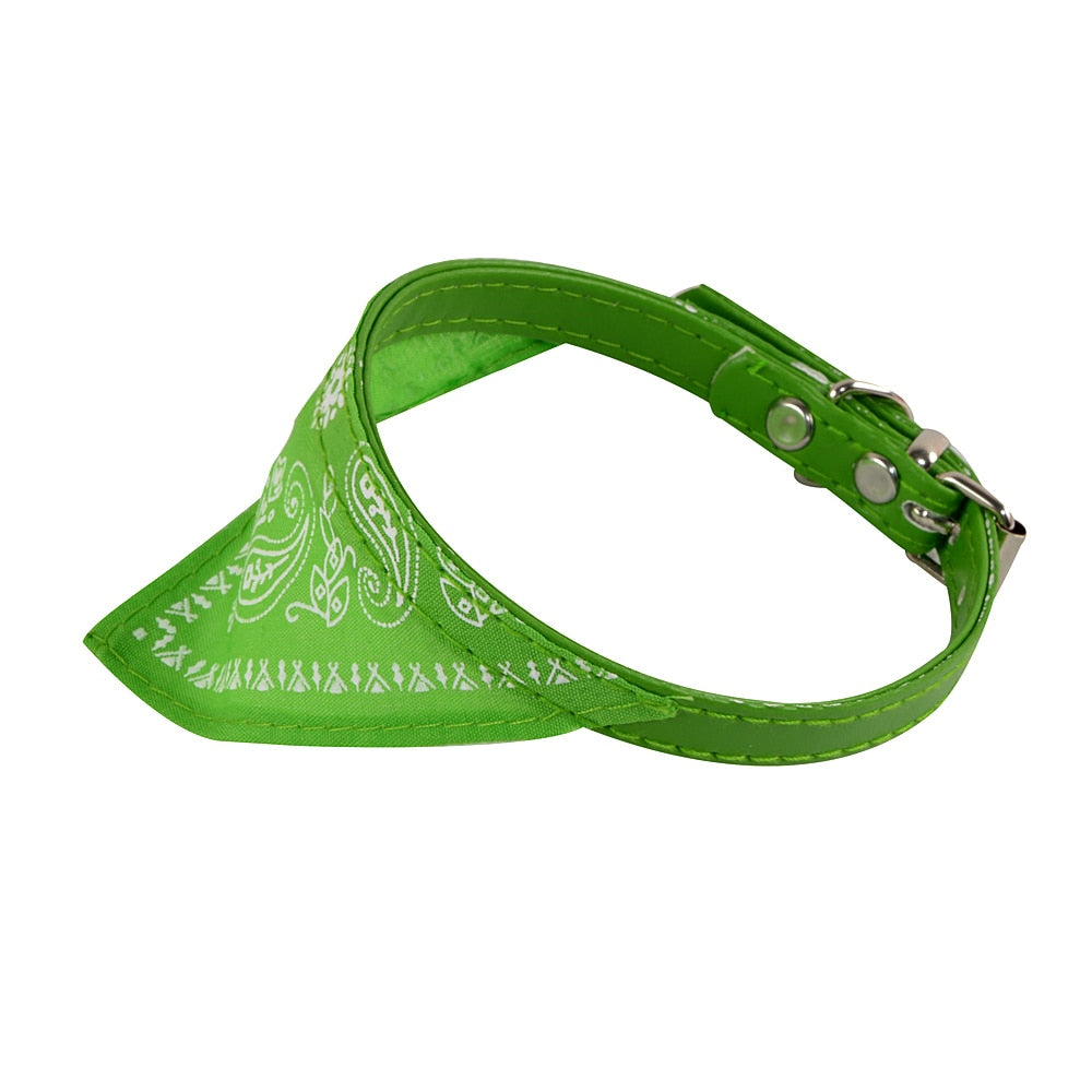 Collar + Bandana Mascotary - Para fardar de estilo