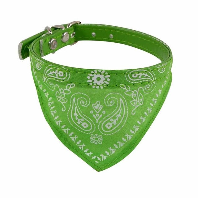Collar + Bandana Mascotary - Para fardar de estilo