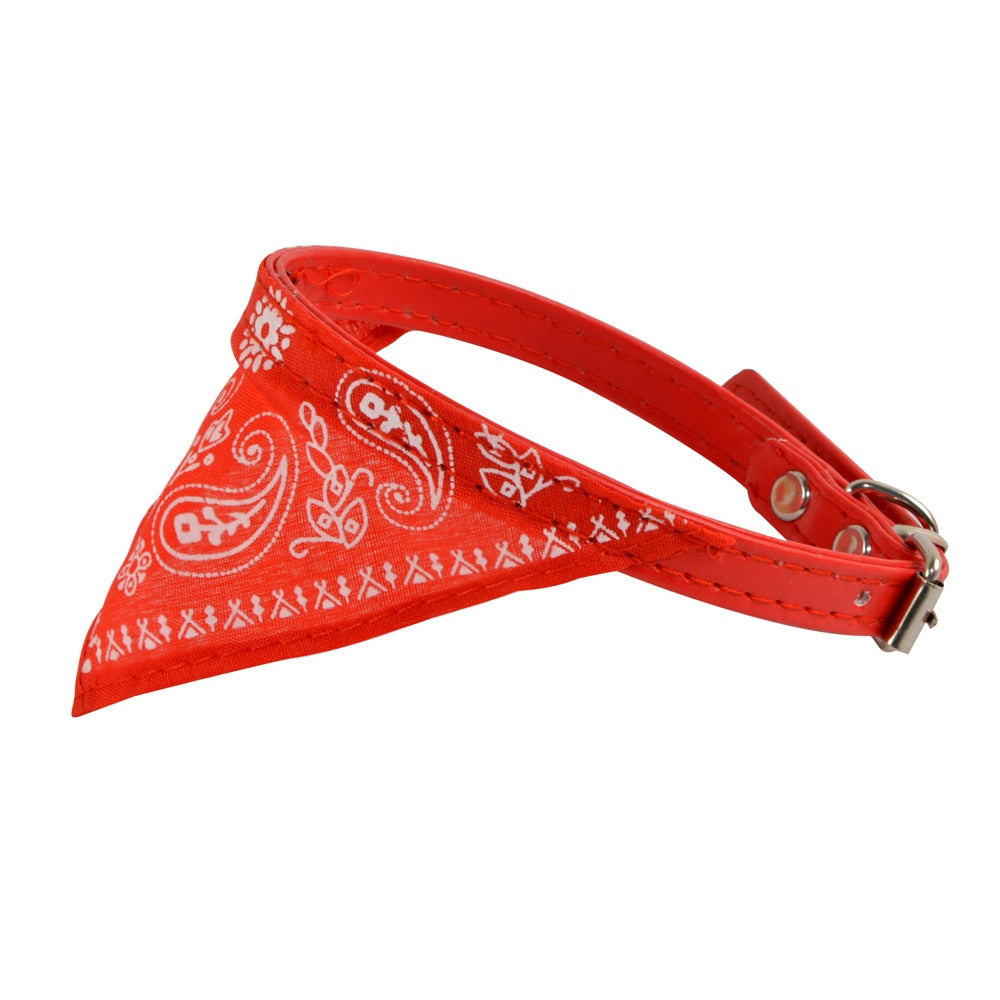 Collar + Bandana Mascotary - Para fardar de estilo
