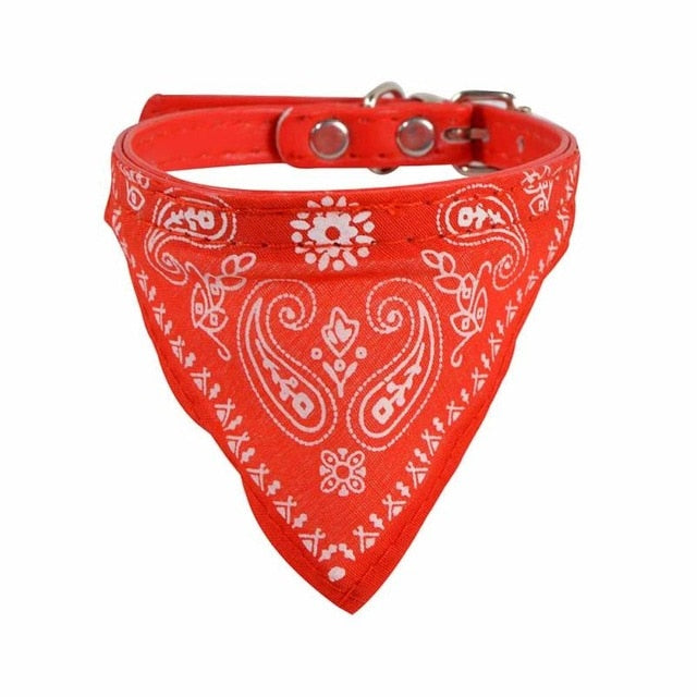 Collar + Bandana Mascotary - Para fardar de estilo