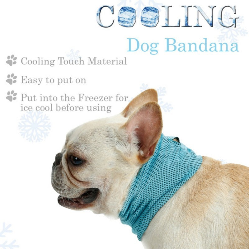 Bandana refrescante Mascotary - Frescor instantáneo sin congelar