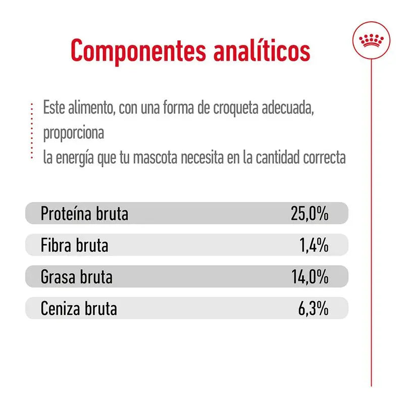 🐶 Royal Canin Medium Adult 4 kg Mascotary – Pienso para perros medianos
