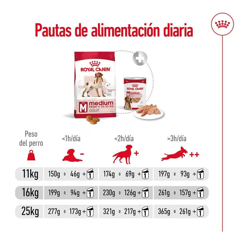🐶 Royal Canin Medium Adult 4 kg Mascotary – Pienso para perros medianos