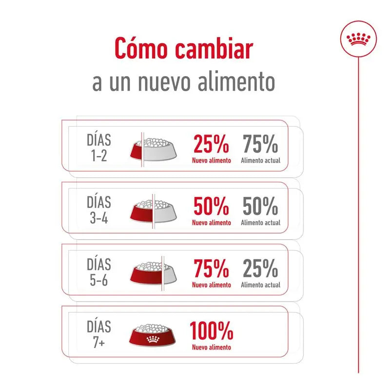 🐶 Royal Canin Medium Adult 4 kg Mascotary – Pienso para perros medianos