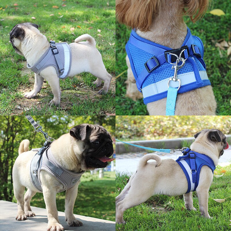 Arnés Reflectante Mascotary – Visibilidad y comodidad total