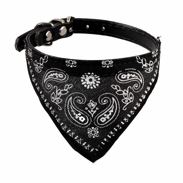 😎Collares para Mascotas