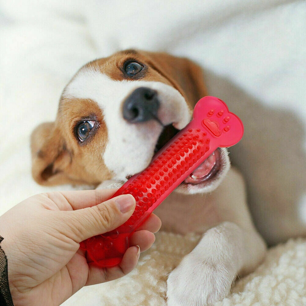 🐾Juguetes para Mascotas
