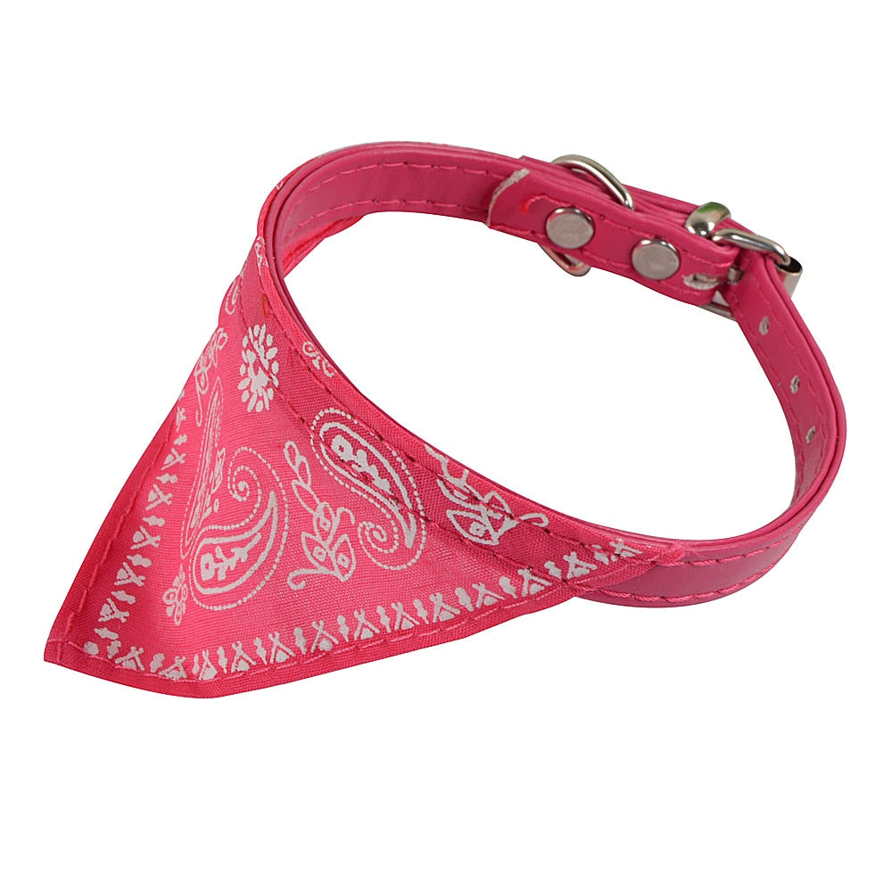 Collar + Bandana Mascotary - Para fardar de estilo