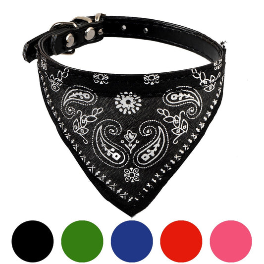Collar + Bandana Mascotary - Para fardar de estilo