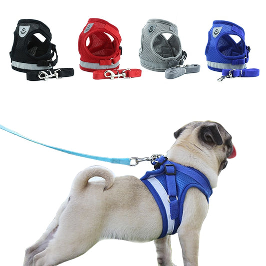 Arnés Reflectante Mascotary  – Visibilidad y comodidad total