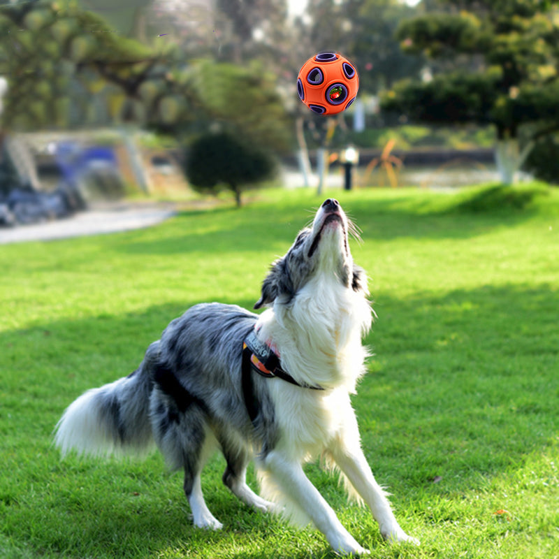Pelota multiopción Mascotary - Sonido, luz y juego sin fin