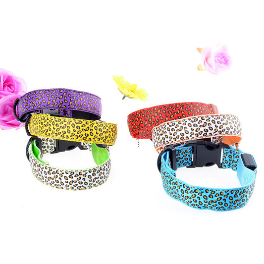 Collar LED con estampado Mascotary  – Visibilidad con estilo