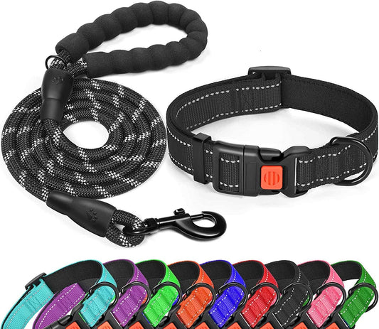 Collar y correa reflectante Mascotary - Seguridad con clase