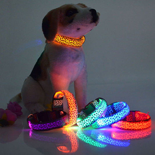 Collar LED con estampado Mascotary  – Visibilidad con estilo
